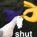 shut