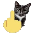 FYOUcat