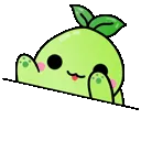 bongoKo