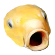 fl5kPoggers