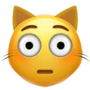 flushed_cat