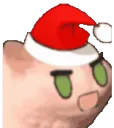 cattoruspin