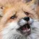 foxwoah
