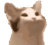 catpop Discord emoji