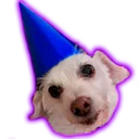 PartyBailey Discord Emoji