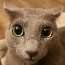 lookingatmain