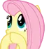 fluttershh fluttershh