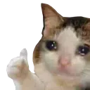 WN_sadcat