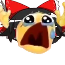 Reimu_cry