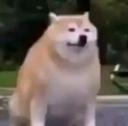 PR_sag_satho Discord emoji