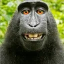 monke_smile