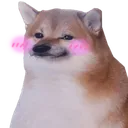 doggoBlush doggoBlush