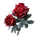 bloodrose bloodrose