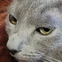 ticket_glare