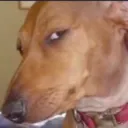 sideeye3
