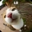 lo