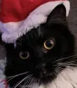 DUBAMEOW