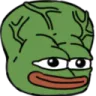 bigbrain