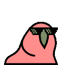 party_parrot Discord emoji