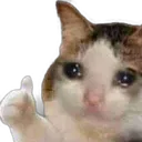 thumbcat