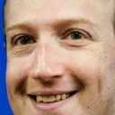 lizard lizard