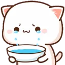 2_cat3_cry