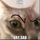 ghevaysao