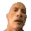 rockSus