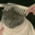 CH_cathaircut