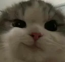 Smirkcat