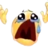 zoolm