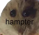 Hampter