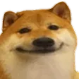 DogO