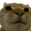 Cat No cat_nO Discord Emoji