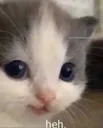 hehe