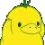 rainbowduck