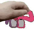 fastpinkdudepet