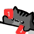 Pingslamb
