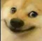 ff_doge_ismart