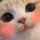 cat_cute