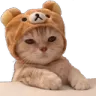 ASkuricat ASkuricat