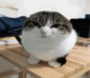 ca