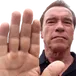 ArnoldHalt