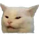 wvd_CatDisgust