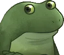 FrogeConcerned