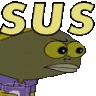 SUS