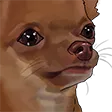 Cry