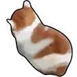 Angy