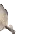 SealArrive