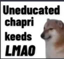fz_Chapri_keed